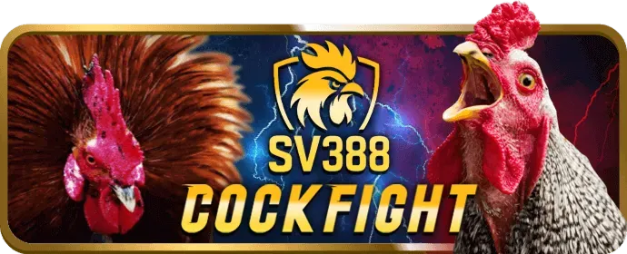 Ưu đãi đá gà bq88